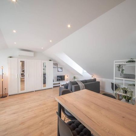 Superbe Appartement Climatise Parking Free Special Eurovision Мюлуз Екстер'єр фото